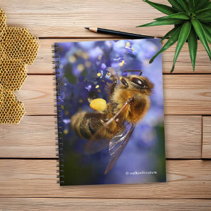 Cuaderno Hermosa abeja de miel en California Lilac