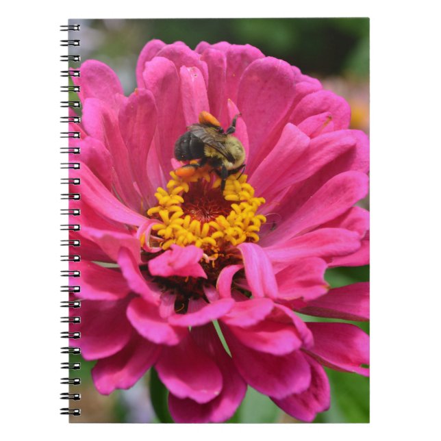 Cuaderno Hermosa abeja rosa elegante (Frente)