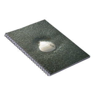 Cuaderno Hermosa concha de mar en la arena: Un recuerdo sal