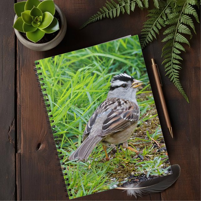 Cuaderno Hermosa espárrago de cosecha blanca en la hierba (White-Crowned Sparrow in the Grass Journal Cover Photo)