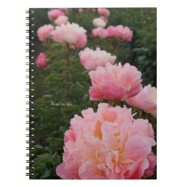 Cuaderno Hermosa fila de peones rosados (Frente)