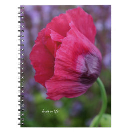Cuaderno Hermosa flor de amapola PInk y púrpura