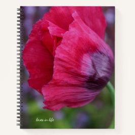 Cuaderno Hermosa flor de amapola PInk y púrpura