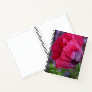 Cuaderno Hermosa flor de amapola PInk y púrpura