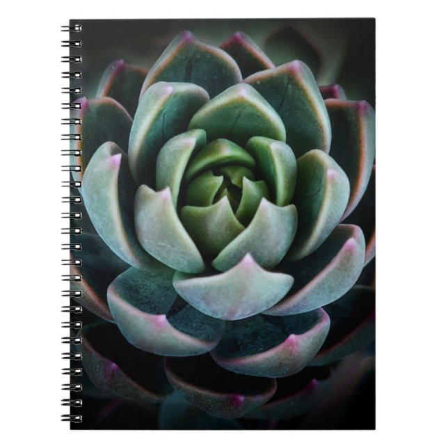 Cuaderno Hermosa Flor de Suculenta Fotografía de la Natural (Frente)