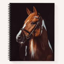 Cuaderno Hermosa foto de retrato de caballo de pintura marr