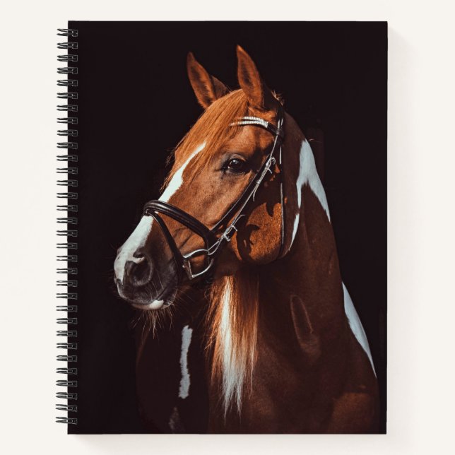 Cuaderno Hermosa foto de retrato de caballo de pintura marr (Anverso)