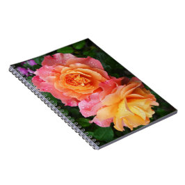Cuaderno Hermosa foto de rosa rosa y naranja