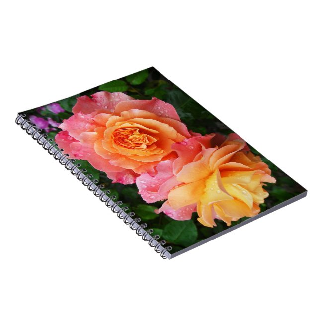 Cuaderno Hermosa foto de rosa rosa y naranja (Lado Derecho)