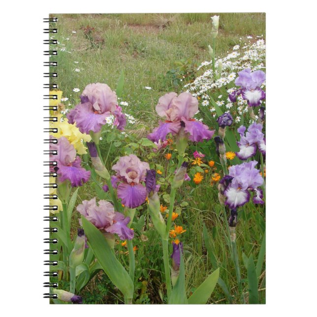 Cuaderno Hermosa foto floral de Iris morado (Frente)