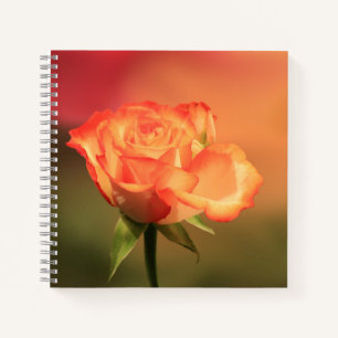 Cuaderno Hermosa fotografía romántica Rosa