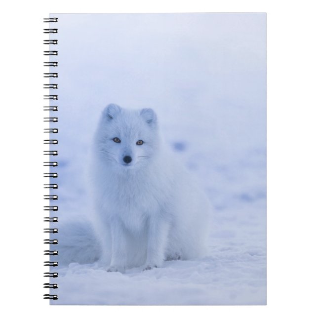 Cuaderno Hermosa Fox Ártica (Frente)