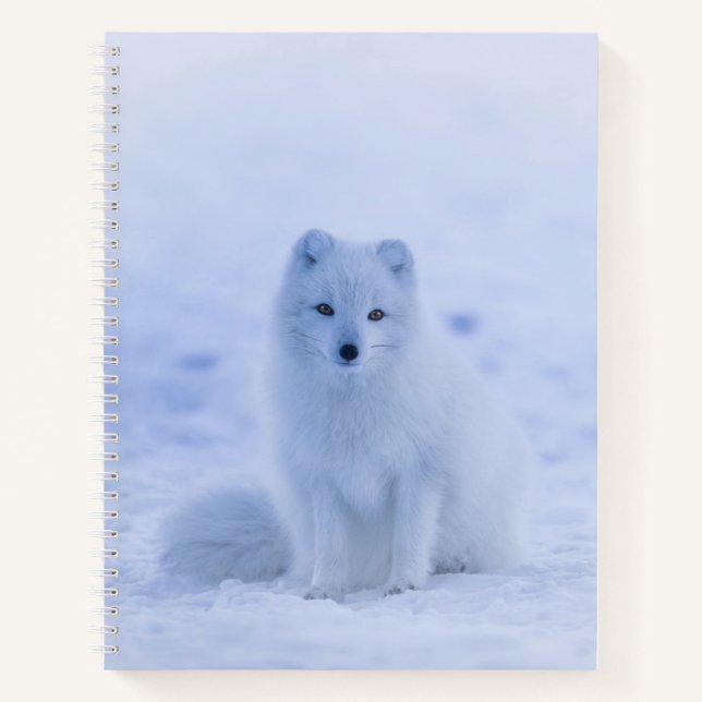 Cuaderno Hermosa Fox Ártica (Anverso)