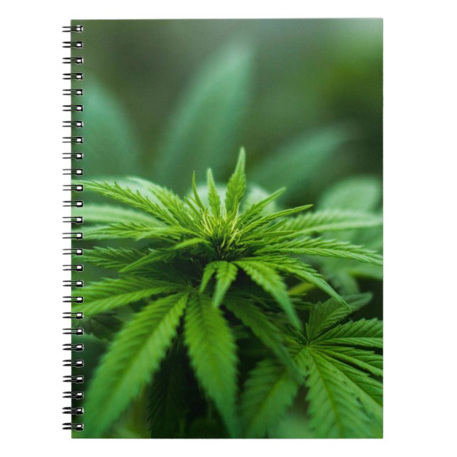 Cuaderno Hermosa hierba (Frente)