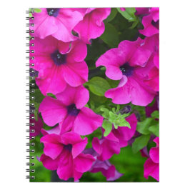 Cuaderno Hermosa huella púrpura de petunias