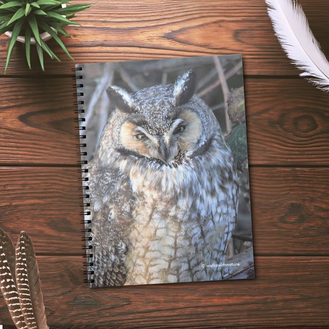 Cuaderno Hermosa lechuza de larga trayectoria al atardecer (Beautiful Long-Eared Owl in the Brush Journal Cover Photo)