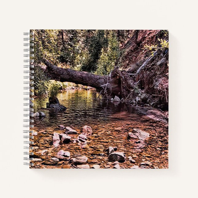 Cuaderno Hermosa mañana de primavera.... (Anverso)