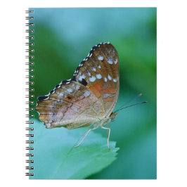 Cuaderno Hermosa mariposa Danaus Plexippus en hojas.