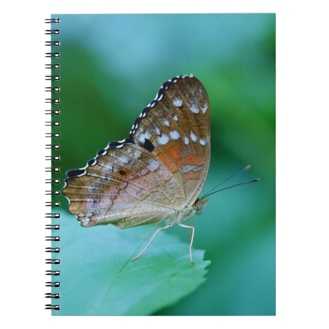 Cuaderno Hermosa mariposa Danaus Plexippus en hojas. (Frente)