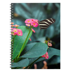 Cuaderno Hermosa mariposa en una flor rosa