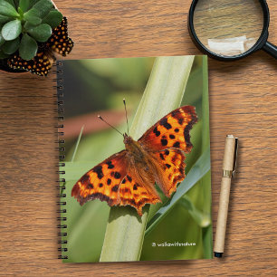 Cuaderno Hermosa mariposa Naranja Satyr Comma