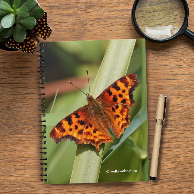 Cuaderno Hermosa mariposa Naranja Satyr Comma (Orange Comma Satyr Butterfly in the Marsh Journal Cover Photo)