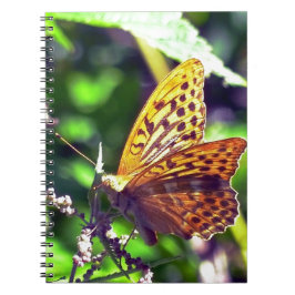 Cuaderno Hermosa mariposa naranja y negra manchada