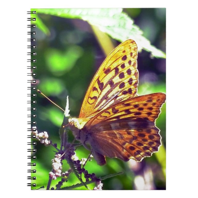 Cuaderno Hermosa mariposa naranja y negra manchada (Frente)
