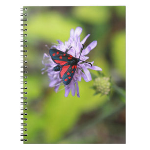 Cuaderno Hermosa Moth