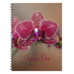 Cuaderno Hermosa orquídea roja