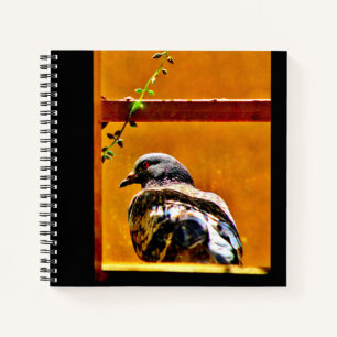 Cuaderno Hermosa Paloma