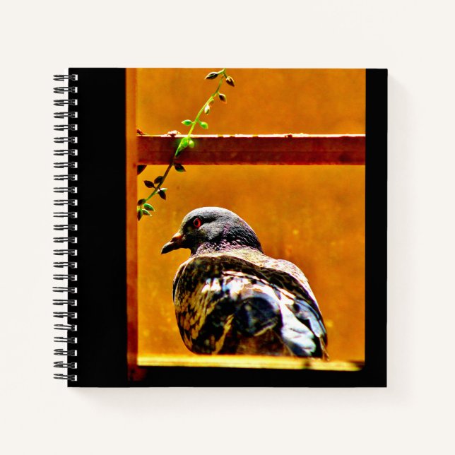 Cuaderno Hermosa Paloma (Anverso)