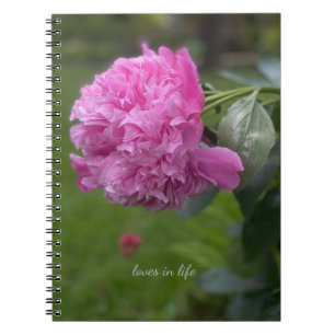 Cuaderno Hermosa Peonia Rosa Completa