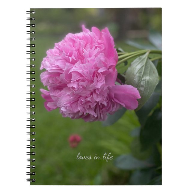Cuaderno Hermosa Peonia Rosa Completa (Frente)