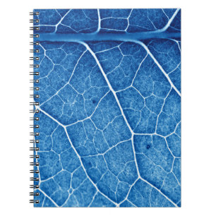 Cuaderno Hermosa planta Closeup Textura Fondo