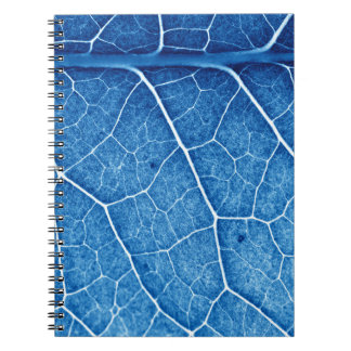 Cuaderno Hermosa planta Closeup Textura Fondo