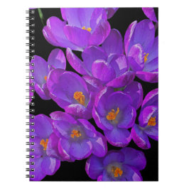 Cuaderno Hermosa Primavera Morada Cruza La Flora