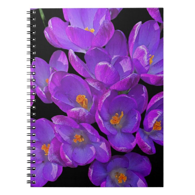 Cuaderno Hermosa Primavera Morada Cruza La Flora (Frente)