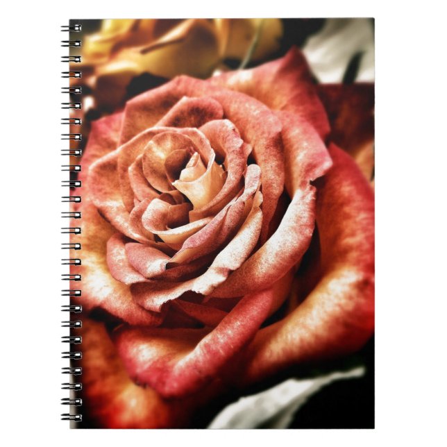 Cuaderno Hermosa Rosa (Frente)