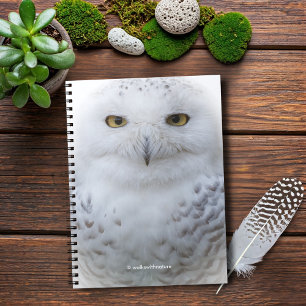 Cuaderno Hermosa, soñadora y serena lechuza