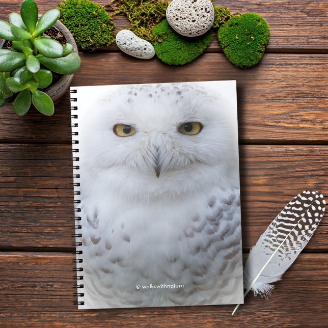 Cuaderno Hermosa, soñadora y serena lechuza (Beautiful and Serene Snowy Owl Journal Cover Photo)