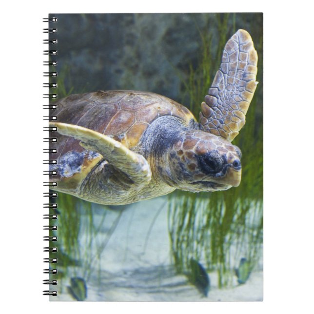 Cuaderno Hermosa Tortuga Marítima Nadando (Frente)