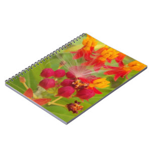 Cuaderno Hermosa y colorida floral con arte de hierbas arom