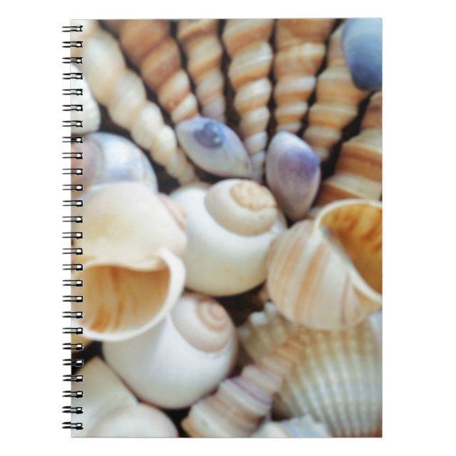 Cuaderno Hermosas casetas, verano, playa, conchas (Frente)