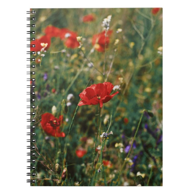 CUADERNO HERMOSAS FLORES (Frente)