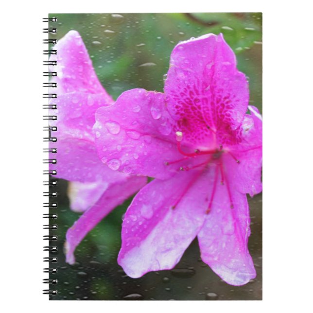Cuaderno Hermosas flores de jardín rosadas con gotas de llu (Frente)
