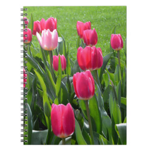 Cuaderno Hermosas flores de tulipán rosa primavera y hojas