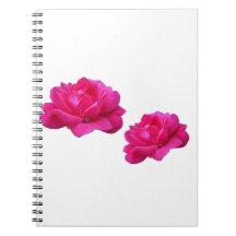 Hermosas flores rosadas dobles de rosa