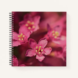 Cuaderno Hermosas flores rosas