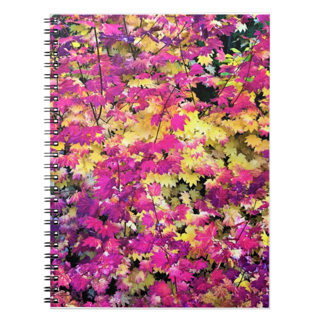 Cuaderno Hermosas hojas de otoño (Frente)
